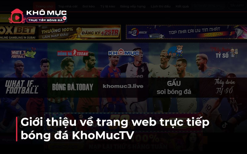 Giới thiệu về trang web trực tiếp bóng đá KhoMuc TV
